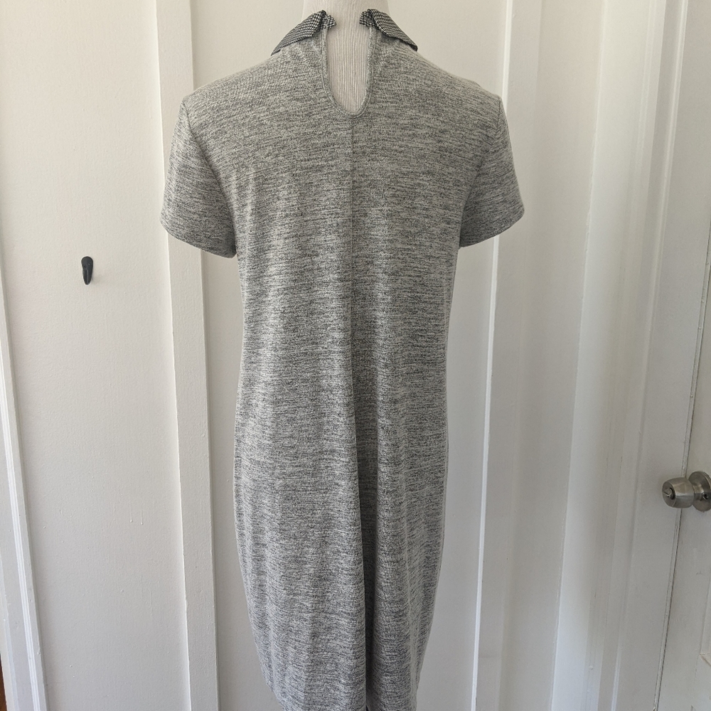 Maison Jules Peter pan collar dress - Picture 2 of 13